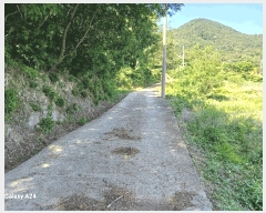  2025Ÿ476  ﱺ   394      ()