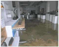  2025Ÿ495  õ  35-1       ܵ,ð