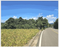  2025Ÿ542  ﱺ 뼭 ȳ 427-1      ()