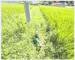  2025Ÿ542  ﱺ 뼭 ȳ 427-1      ()