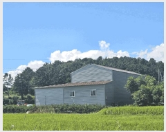  2025Ÿ542  ﱺ 뼭 ȳ 427-1      ()