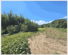  2025Ÿ542  ﱺ 뼭 ȳ 427-1      ()