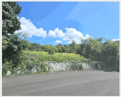  2025Ÿ542  ﱺ 뼭 ȳ 427-1      ()