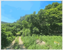  2025Ÿ548   Ȳ浿 126-7       (Ӿ)