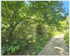  2025Ÿ548   Ȳ浿 126-7       (Ӿ)