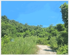  2025Ÿ548   Ȳ浿 126-7       (Ӿ)