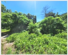  2025Ÿ548   Ȳ浿 126-7       (Ӿ)