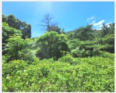  2025Ÿ548   Ȳ浿 126-7       (Ӿ)