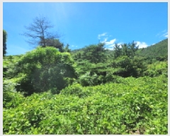  2025Ÿ548   Ȳ浿 126-7       (Ӿ)