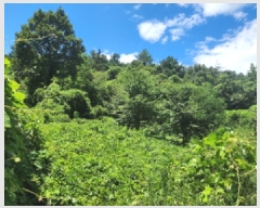  2025Ÿ548   Ȳ浿 126-7       (Ӿ)