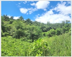  2025Ÿ548   Ȳ浿 126-7       (Ӿ)