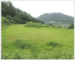  2025Ÿ554  õ ط  596      ()