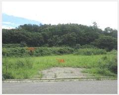  2025Ÿ554  õ ط  596      ()