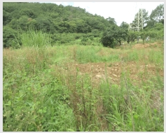  2025Ÿ554  õ ط  596      ()