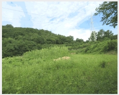  2025Ÿ554  õ ط  596      ()