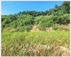  2025Ÿ554  õ ط  596      ()