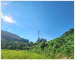  2025Ÿ554  õ ط  596      ()