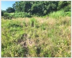  2025Ÿ554  õ ط  596      ()