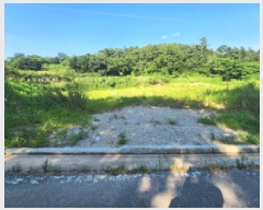  2025Ÿ554  õ ط  596      ()