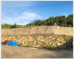  2025Ÿ��566 ���� ������ ȭ��� ������ 278-1      ����(����)���