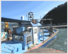  2025Ÿ578 ﱺ          ڰ