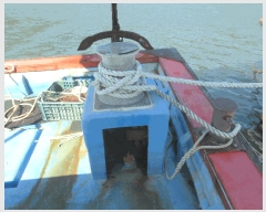  2025Ÿ578 ﱺ          ڰ