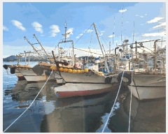  2025Ÿ��590  ���ڰ��