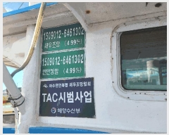  2025Ÿ��590  ���ڰ��