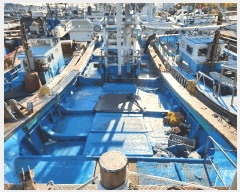  2025Ÿ��590  ���ڰ��