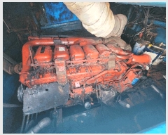  2025Ÿ��590  ���ڰ��