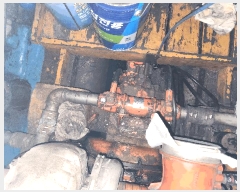  2025Ÿ��590  ���ڰ��