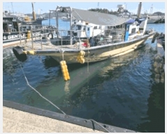  2025Ÿ��626 ������ �ſ�4����         ���ڰ��