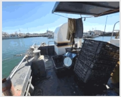  2025Ÿ��626 ������ �ſ�4����         ���ڰ��