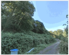  2025Ÿ��632 ���� ���ʱ� ������ ��õ�� 1-2      ����(��1)���