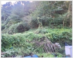  2025Ÿ��632 ���� ���ʱ� ������ ��õ�� 1-2      ����(��1)���