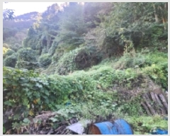  2025Ÿ��632 ���� ���ʱ� ������ ��õ�� 1-2      ����(��1)���