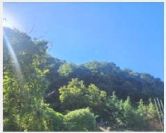  2025Ÿ��632 ���� ���ʱ� ������ ��õ�� 1-2      ����(��1)���