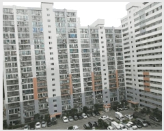  2025Ÿ��650  ����Ʈ���