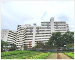  2025Ÿ��650  ����Ʈ���