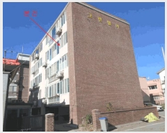  2025Ÿ��681 ���� ���ﱺ ������ ���ϸ� 2699-182 �׸����� 3��301ȣ    �ټ���,������