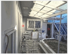  2025Ÿ��686 ���� ������ ������ 306       ���ð��