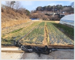  2025Ÿ50497   Ȳ浿 896-2       ()