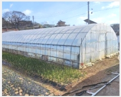  2025Ÿ50497   Ȳ浿 896-2       ()