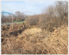  2025Ÿ50497   Ȳ浿 896-2       ()