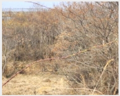  2025Ÿ50497   Ȳ浿 896-2       ()