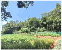  2025Ÿ��50640 ���� ������ ������ ��134       ����(�Ӿ�)���