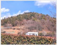  2025Ÿ��50640 ���� ������ ������ ��134       ����(�Ӿ�)���