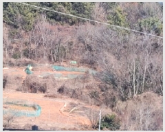  2025Ÿ��50640 ���� ������ ������ ��134       ����(�Ӿ�)���