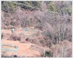  2025Ÿ��50640 ���� ������ ������ ��134       ����(�Ӿ�)���