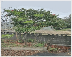  2025Ÿ51202    縮 1221-12      ڽü,,ȣ,